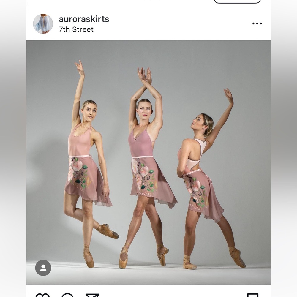 Aurora Skirts X Pointebrush skirt